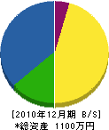 小島塗装店 貸借対照表 2010年12月期