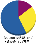奥永水道 貸借対照表 2009年12月期