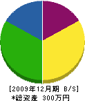 塚渕鉄工所 貸借対照表 2009年12月期