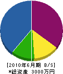 井上敬樹園 貸借対照表 2010年6月期