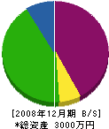 宮崎配管 貸借対照表 2008年12月期