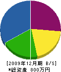 かみむら建設 貸借対照表 2009年12月期
