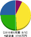 斎藤工務店 貸借対照表 2010年8月期