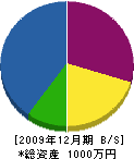 福塚建工 貸借対照表 2009年12月期