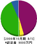 斉藤設備 貸借対照表 2008年10月期