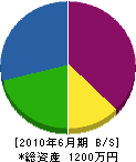 田中造園 貸借対照表 2010年6月期