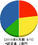 仙崎市川組 貸借対照表 2010年6月期