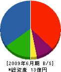 相澤建設 貸借対照表 2009年6月期