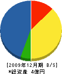 子々川産業 貸借対照表 2009年12月期