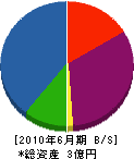 矢野金物 貸借対照表 2010年6月期