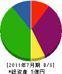 手塚建材 貸借対照表 2011年7月期