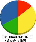 岩崎技建 貸借対照表 2010年3月期