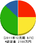 幸ガラス 貸借対照表 2011年12月期 幸ガラス 貸借対照表 2011年12月期