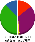 江花電気商会 貸借対照表 2010年1月期