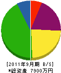 森田塗装店 貸借対照表 2011年9月期