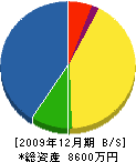 玉井組 貸借対照表 2009年12月期