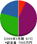 大澤土木 貸借対照表 2009年3月期