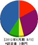 高崎松風園 貸借対照表 2012年6月期