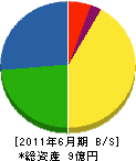 佐藤工務所 貸借対照表 2011年6月期