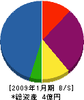 伊藤塗装工業 貸借対照表 2009年1月期