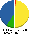 入柿水道 貸借対照表 2009年12月期