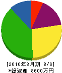 柳井土建 貸借対照表 2010年8月期