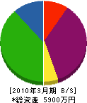篠原電機商会 貸借対照表 2010年3月期
