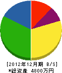 野母崎建設 貸借対照表 2012年12月期