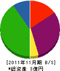 齋藤商店 貸借対照表 2011年11月期