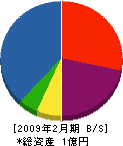 伊藤商会 貸借対照表 2009年2月期