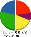 松村産業 貸借対照表 2012年3月期