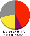 小田塗装店 損益計算書 2012年6月期