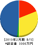丸松商店 貸借対照表 2013年2月期