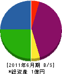 片山 貸借対照表 2011年6月期