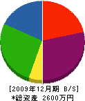 須田木工 貸借対照表 2009年12月期