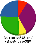 櫻庭組 貸借対照表 2011年12月期