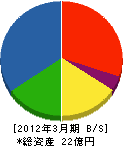 伊藤羽州建設 貸借対照表 2012年3月期