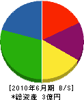 桐澤建設 貸借対照表 2010年6月期
