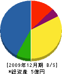 中村鉄工 貸借対照表 2009年12月期