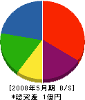矢野建設 貸借対照表 2008年5月期