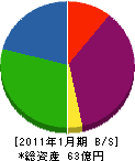 塚本建設 貸借対照表 2011年1月期