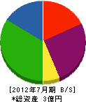竹内クレーン工業 貸借対照表 2012年7月期