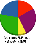 小嶋電工 貸借対照表 2011年6月期