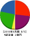薮田建設 貸借対照表 2010年8月期