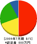 中澤商会 貸借対照表 2009年7月期