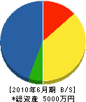 吉田水道工事店 貸借対照表 2010年6月期
