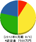 長島管工 貸借対照表 2012年6月期