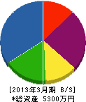田中電気工事 貸借対照表 2013年3月期