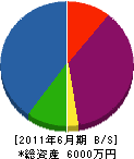 卯田造園 貸借対照表 2011年6月期