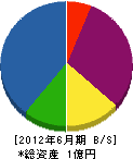 坂本電業 貸借対照表 2012年6月期
